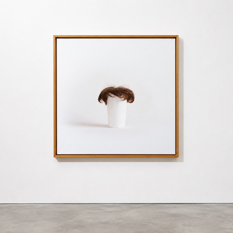 Hairy cups 01, 2015