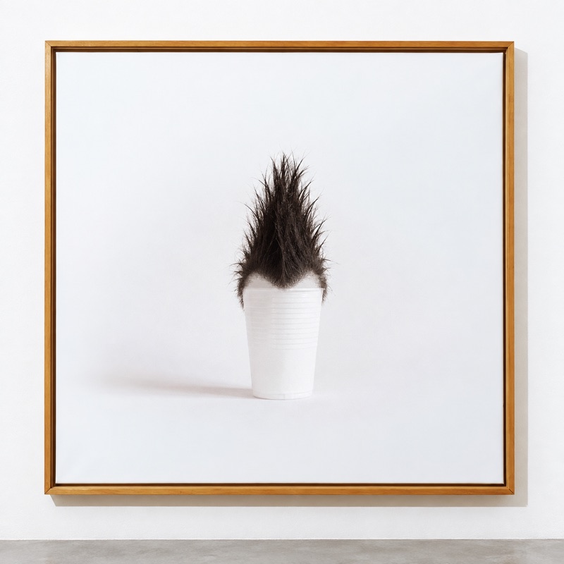 Hairy cups 03 mohawk, 2018
