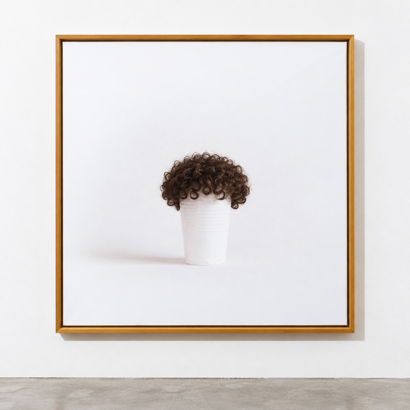 Hairy cups 04 curls, 2015