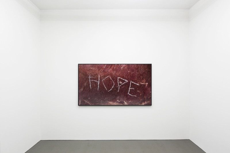 Hope, 2015