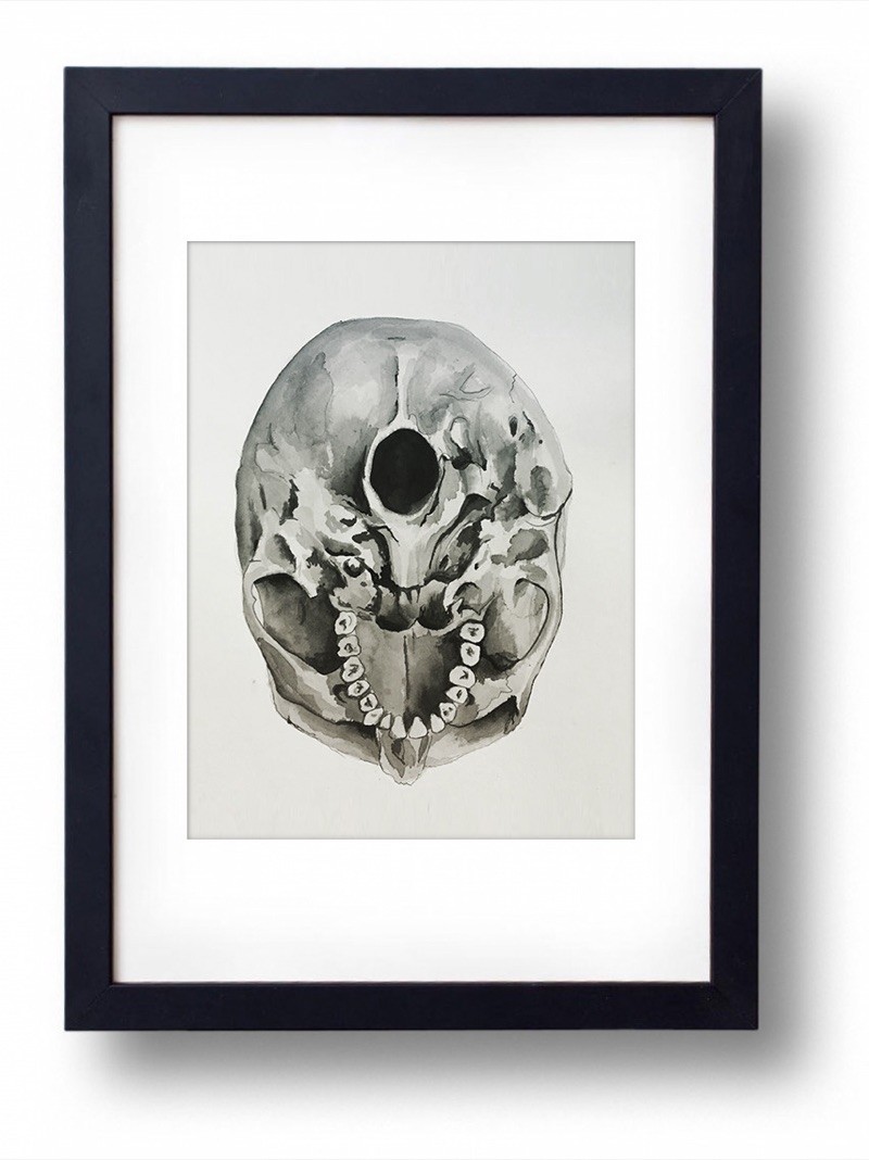 Skull, 2017